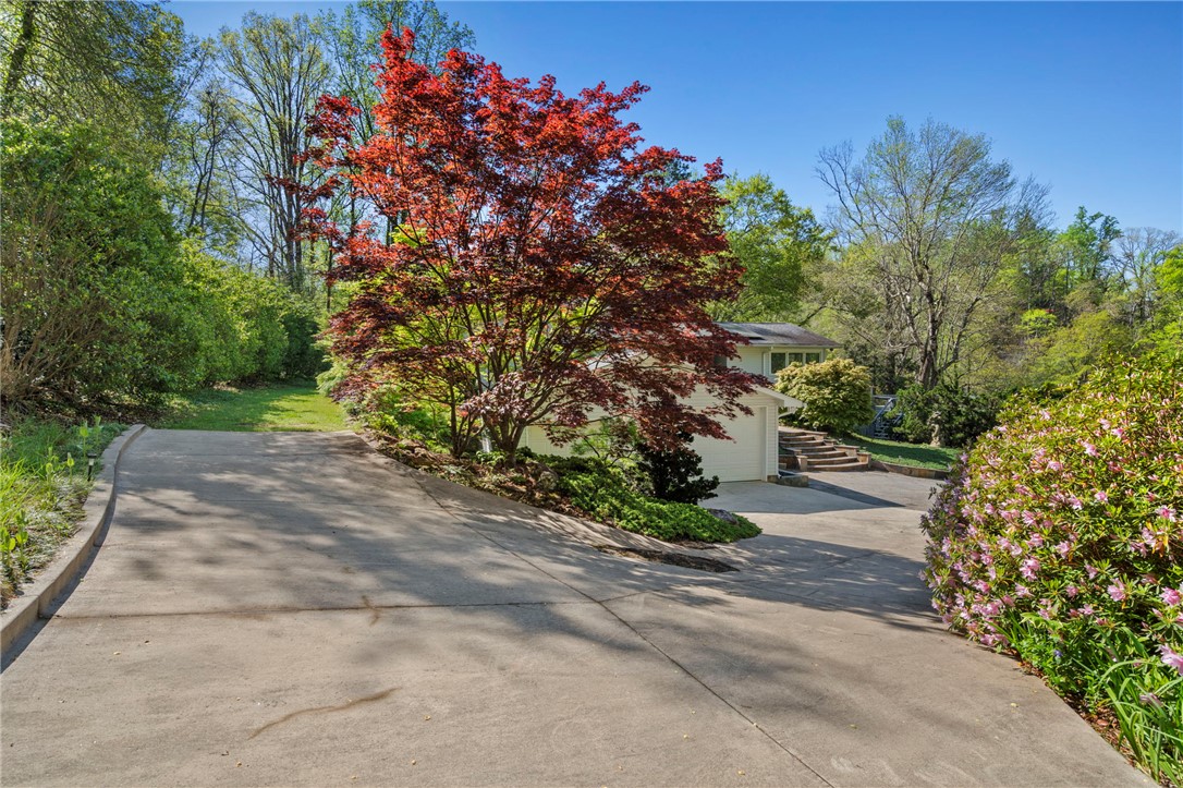41 Lake Ridge Drive, Greenville, South Carolina image 45