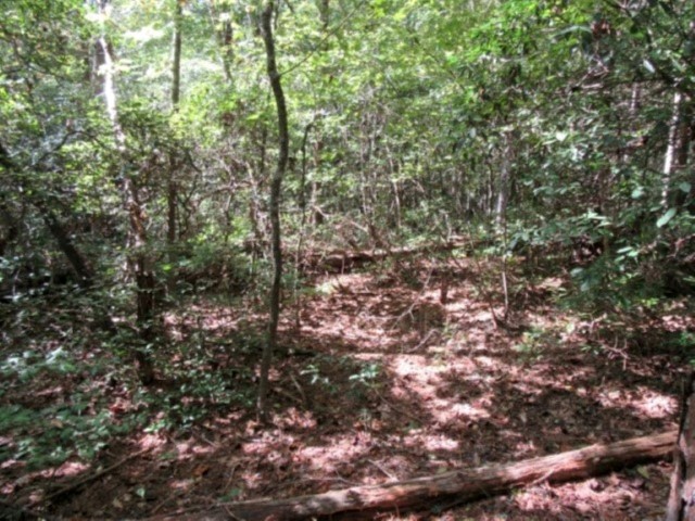 118 Hambys Way, Pickens, South Carolina image 11