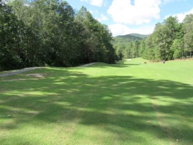 118 Hambys Way, Pickens, South Carolina image 5
