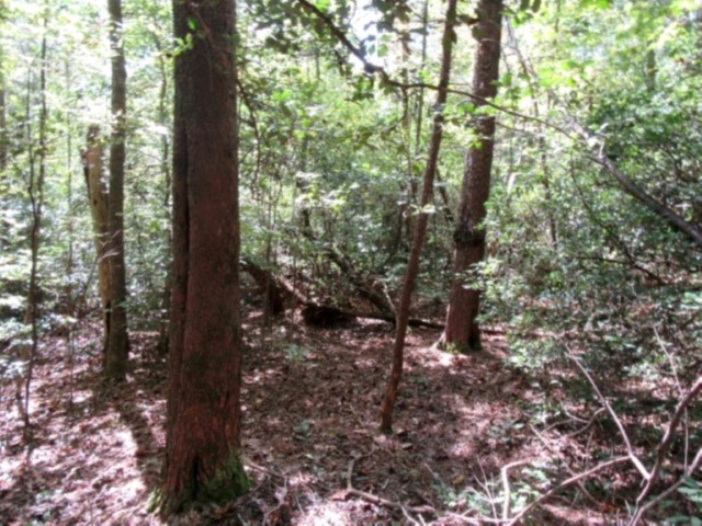 118 Hambys Way, Pickens, South Carolina image 10