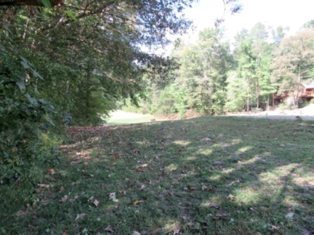 118 Hambys Way, Pickens, South Carolina image 1