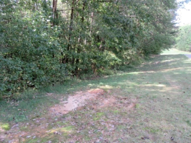 118 Hambys Way, Pickens, South Carolina image 3