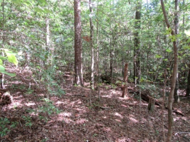 118 Hambys Way, Pickens, South Carolina image 8