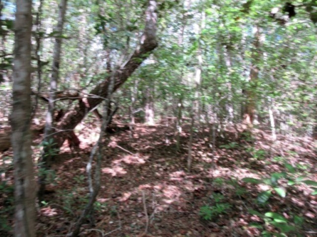 118 Hambys Way, Pickens, South Carolina image 12