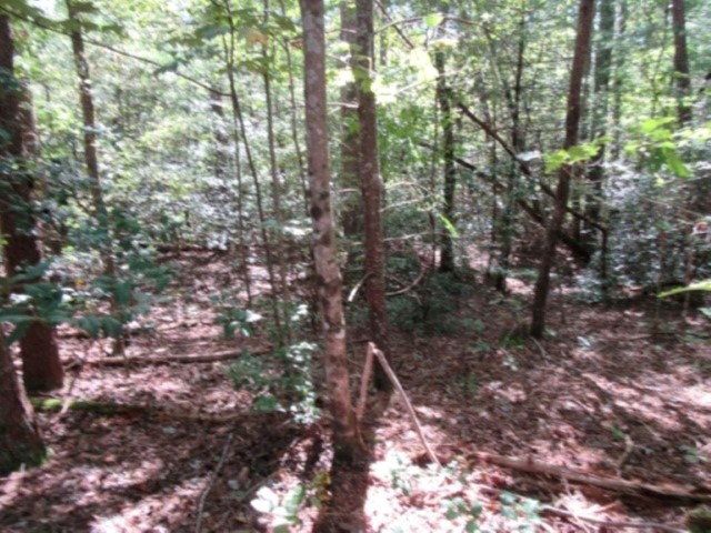 118 Hambys Way, Pickens, South Carolina image 6