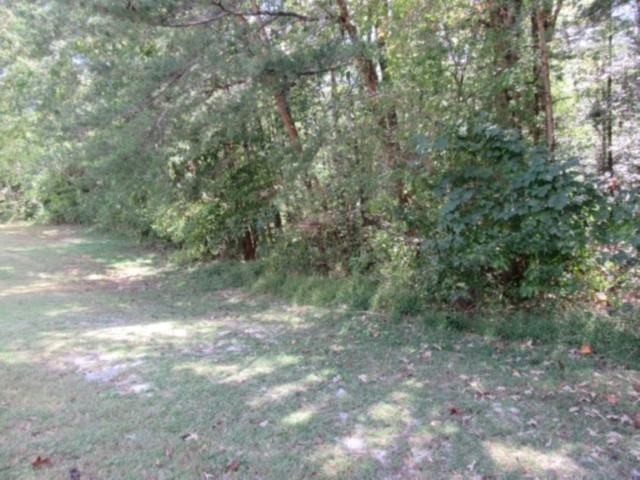 118 Hambys Way, Pickens, South Carolina image 2