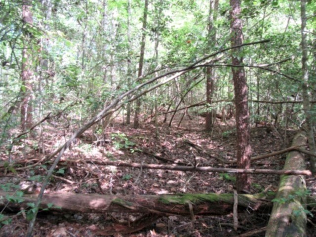 118 Hambys Way, Pickens, South Carolina image 15