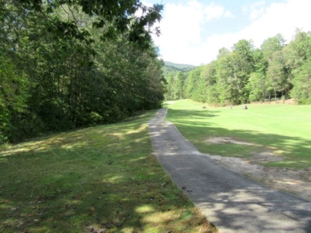 118 Hambys Way, Pickens, South Carolina image 4