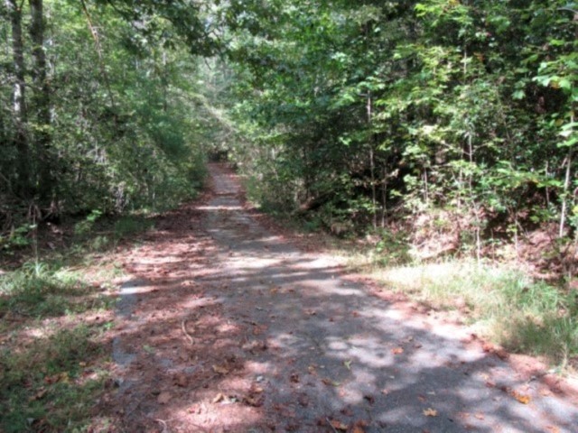 118 Hambys Way, Pickens, South Carolina image 13