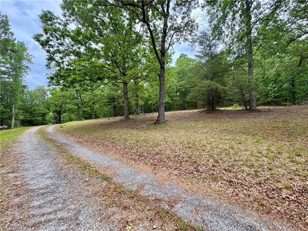 154 Farmers Hill Road, Liberty, South Carolina image 30