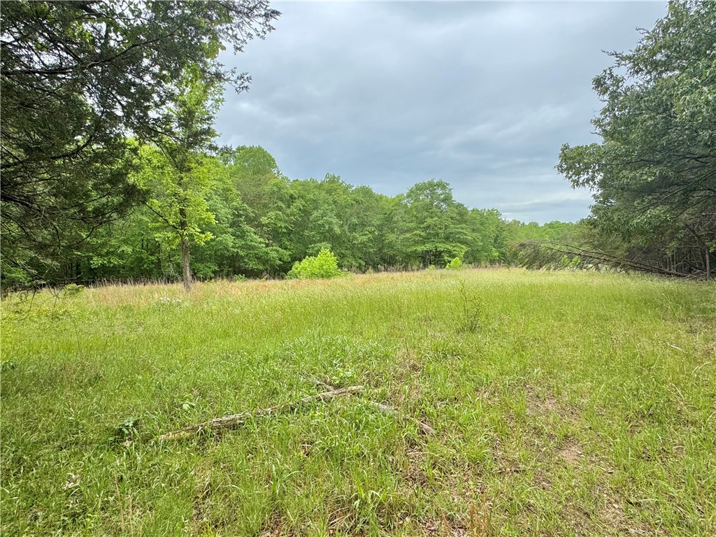 154 Farmers Hill Road, Liberty, South Carolina image 25