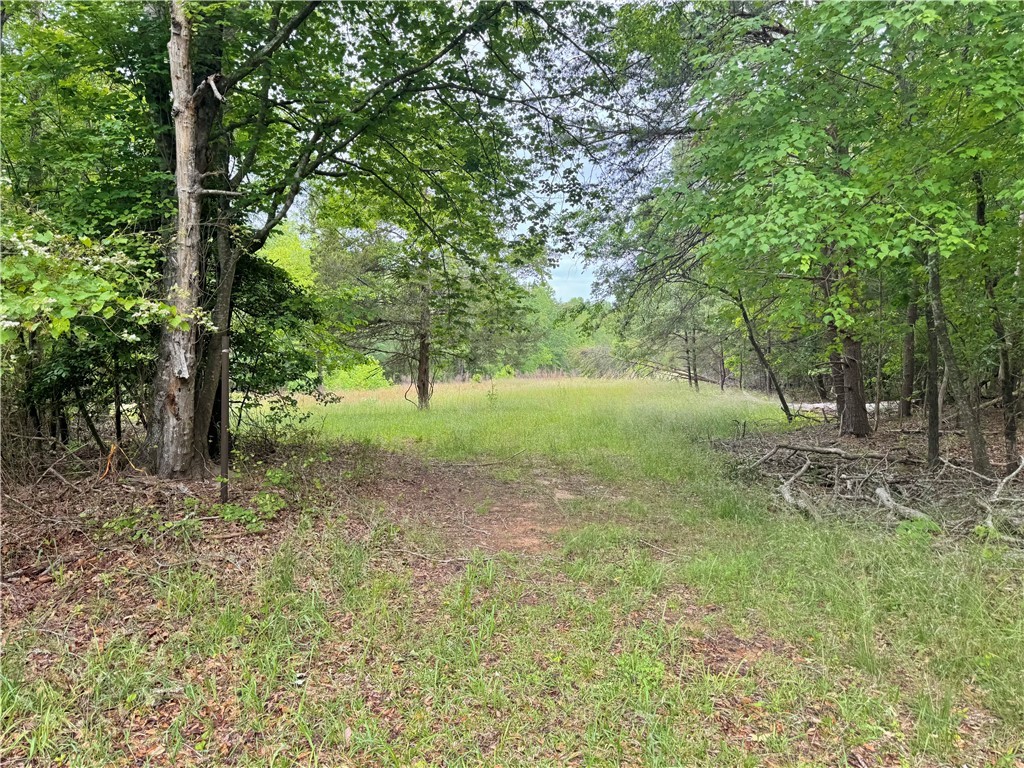 154 Farmers Hill Road, Liberty, South Carolina image 24