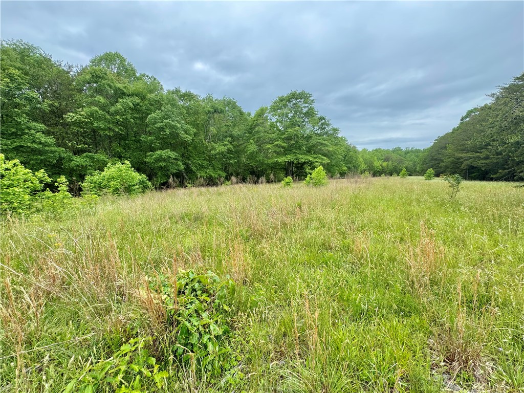 154 Farmers Hill Road, Liberty, South Carolina image 27