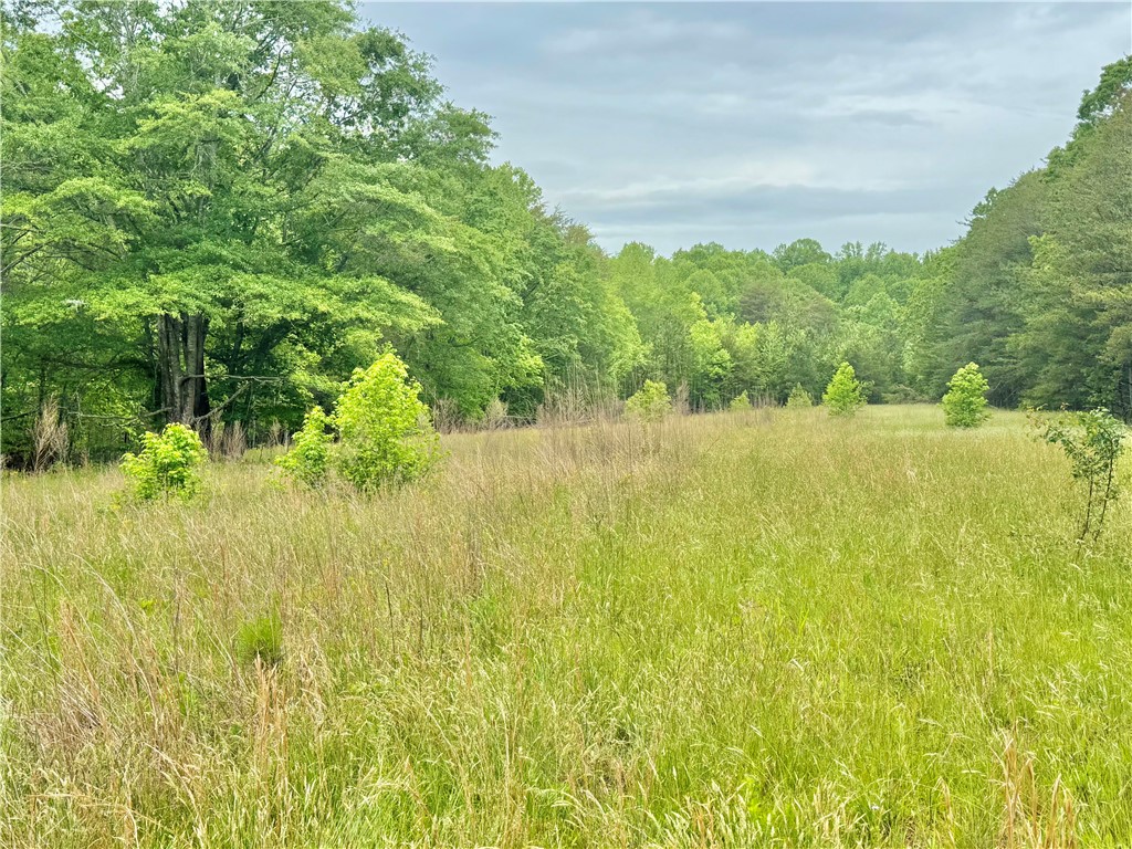 154 Farmers Hill Road, Liberty, South Carolina image 26