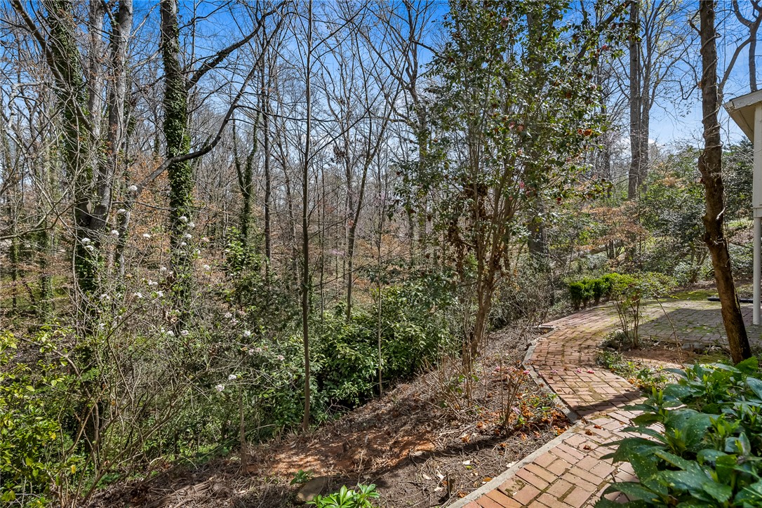 115 Mitchell Avenue, Clemson, South Carolina image 42