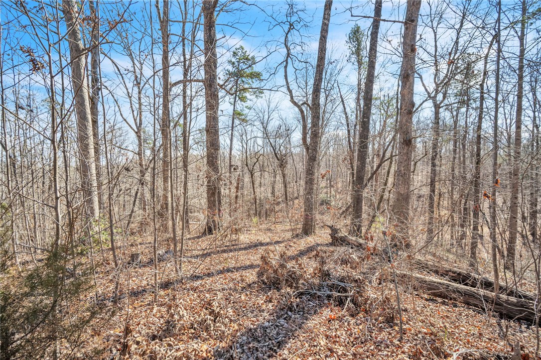 110 Gabriel Way, Pickens, South Carolina image 11