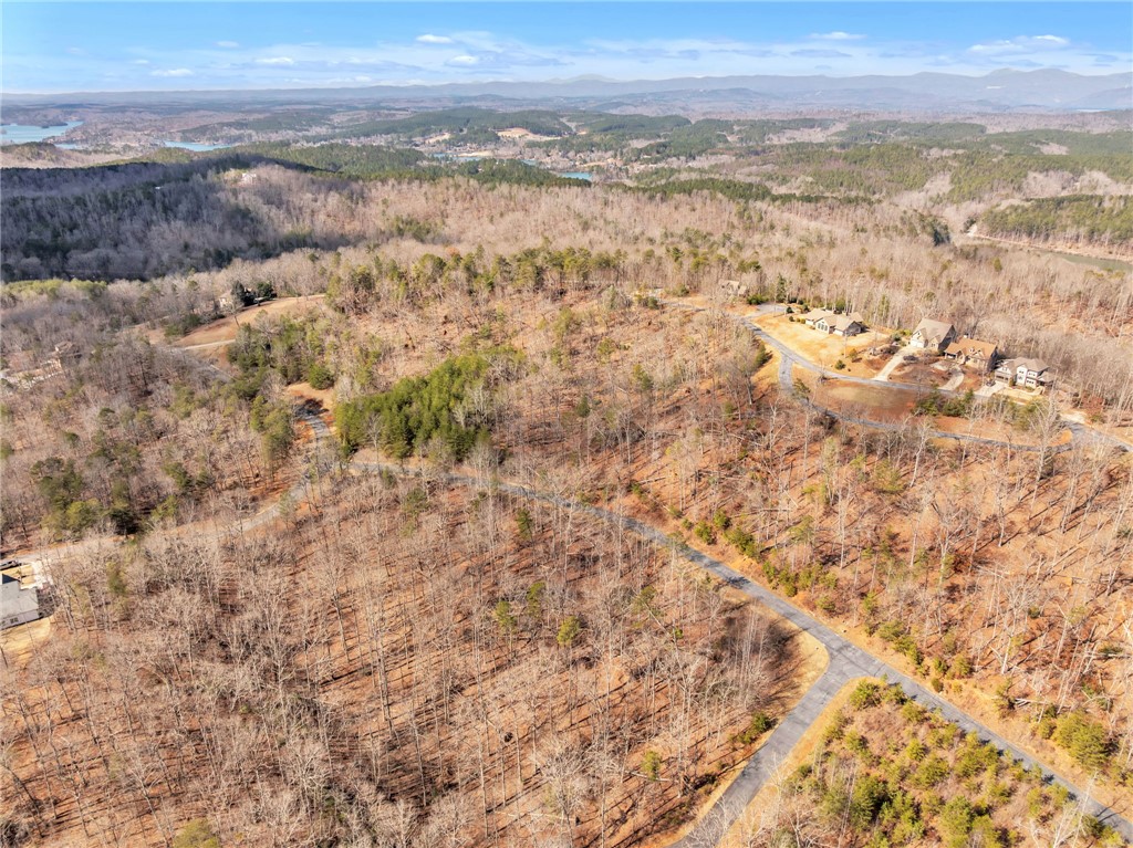 110 Gabriel Way, Pickens, South Carolina image 3