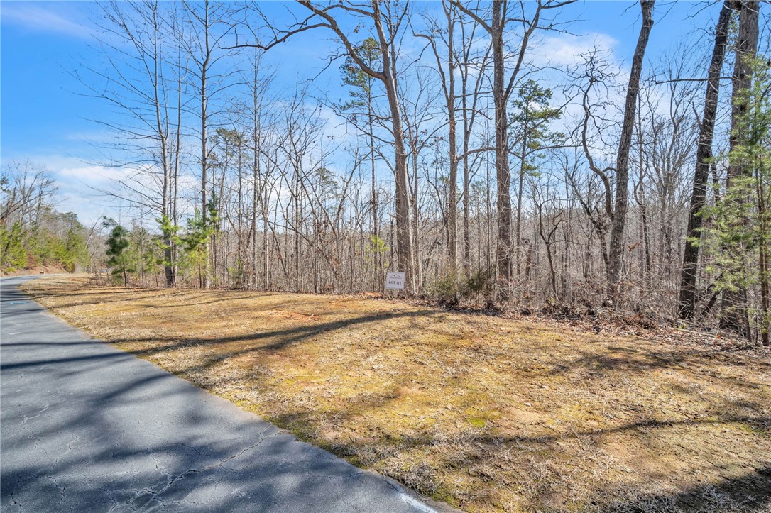 110 Gabriel Way, Pickens, South Carolina image 10