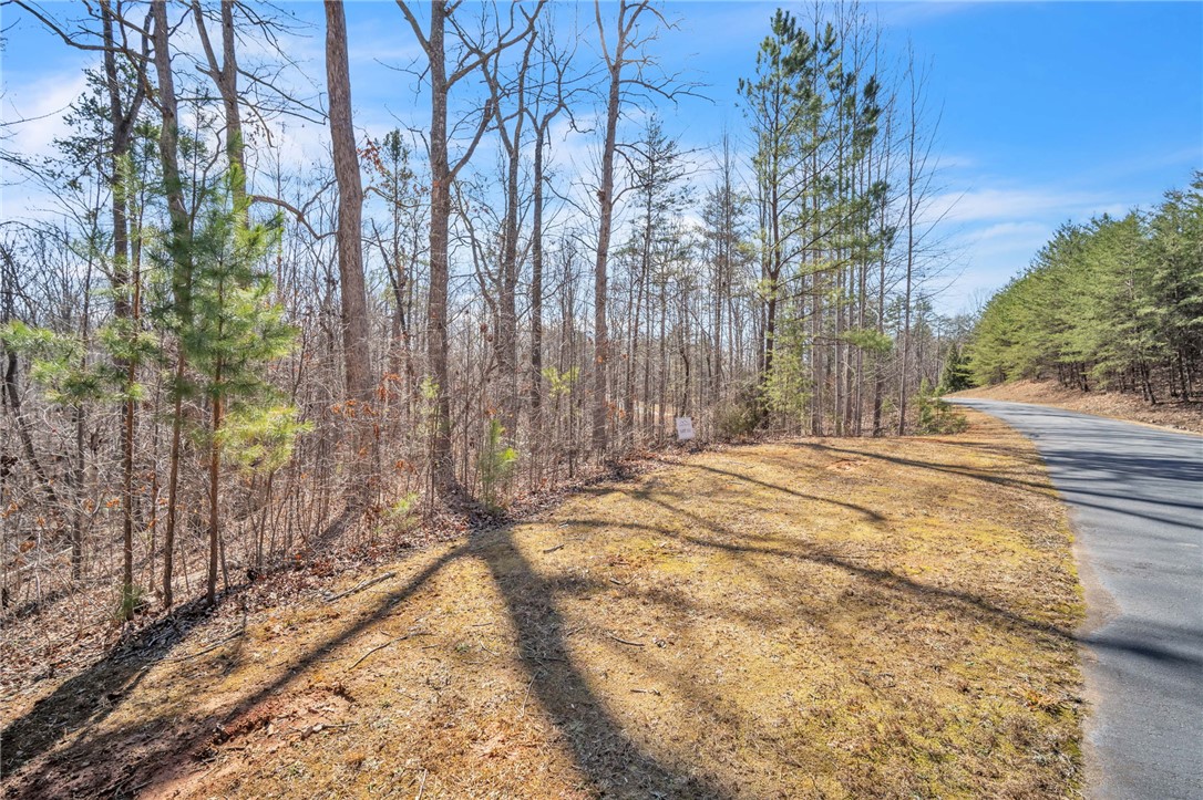 110 Gabriel Way, Pickens, South Carolina image 9
