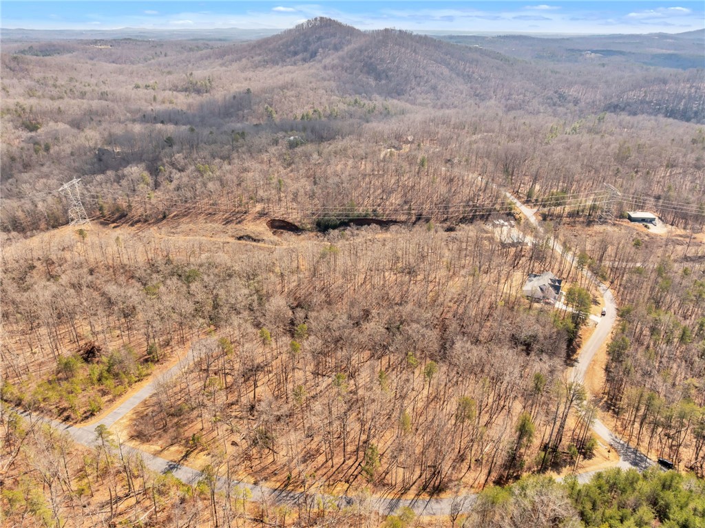 110 Gabriel Way, Pickens, South Carolina image 8