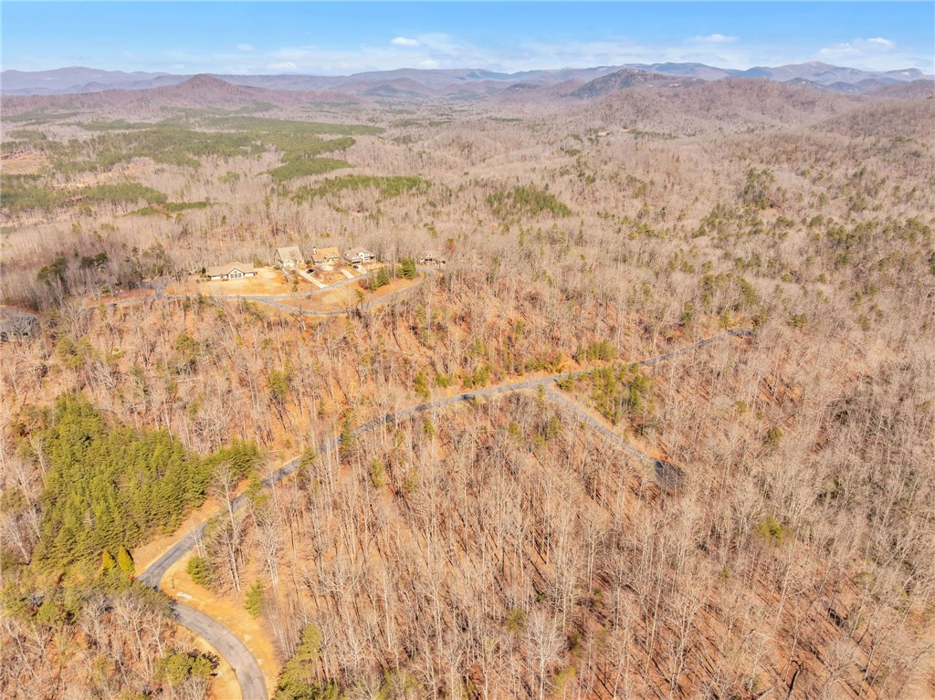 110 Gabriel Way, Pickens, South Carolina image 2