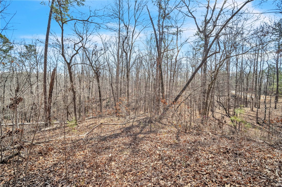 110 Gabriel Way, Pickens, South Carolina image 12