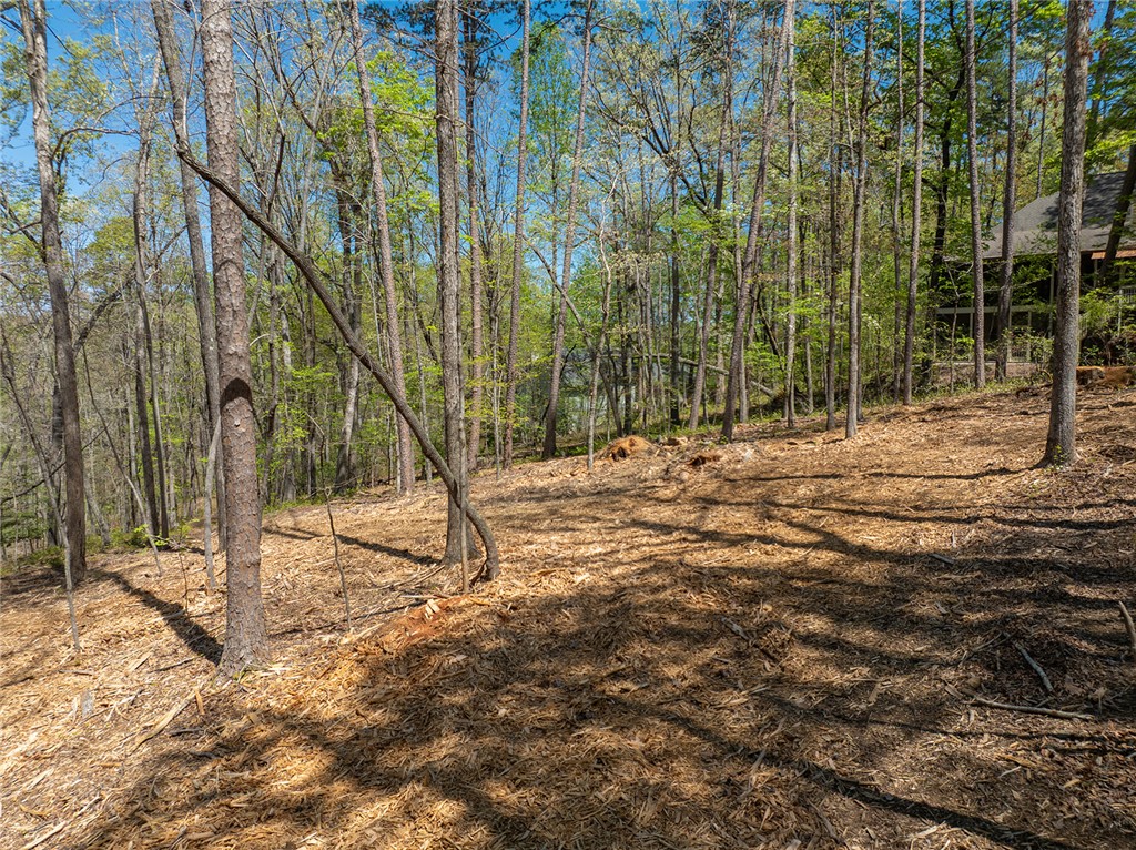 10/12 Starboard Tack Drive #3, Salem, South Carolina image 15