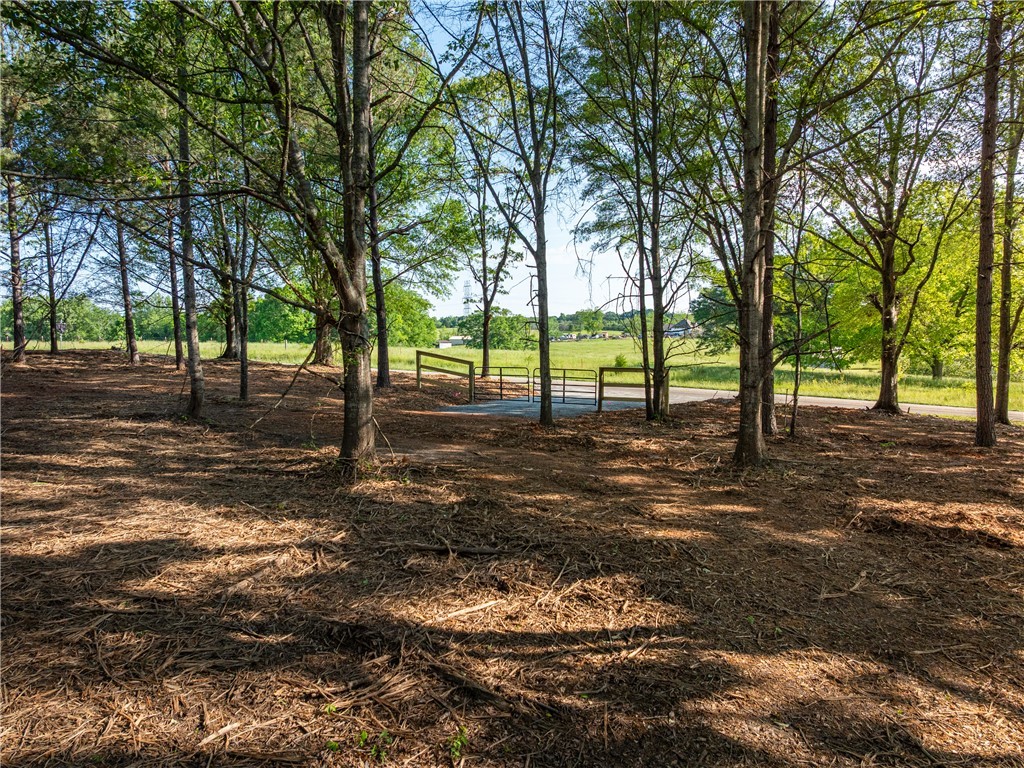 08 Moorefield Memorial Highway, Liberty, South Carolina image 9