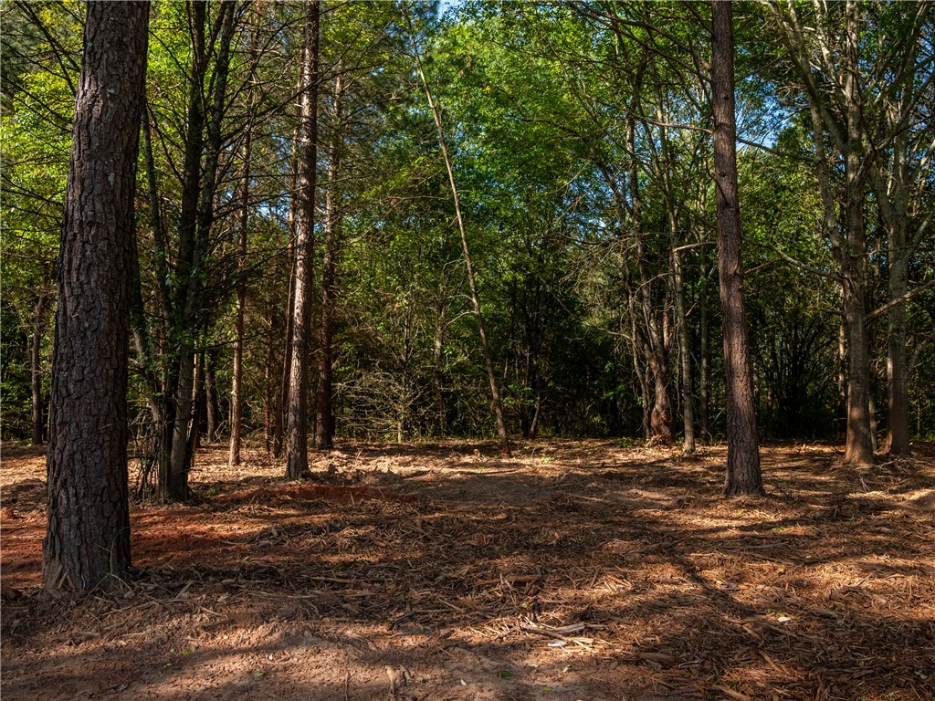 08 Moorefield Memorial Highway, Liberty, South Carolina image 16