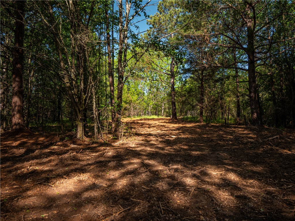 08 Moorefield Memorial Highway, Liberty, South Carolina image 17