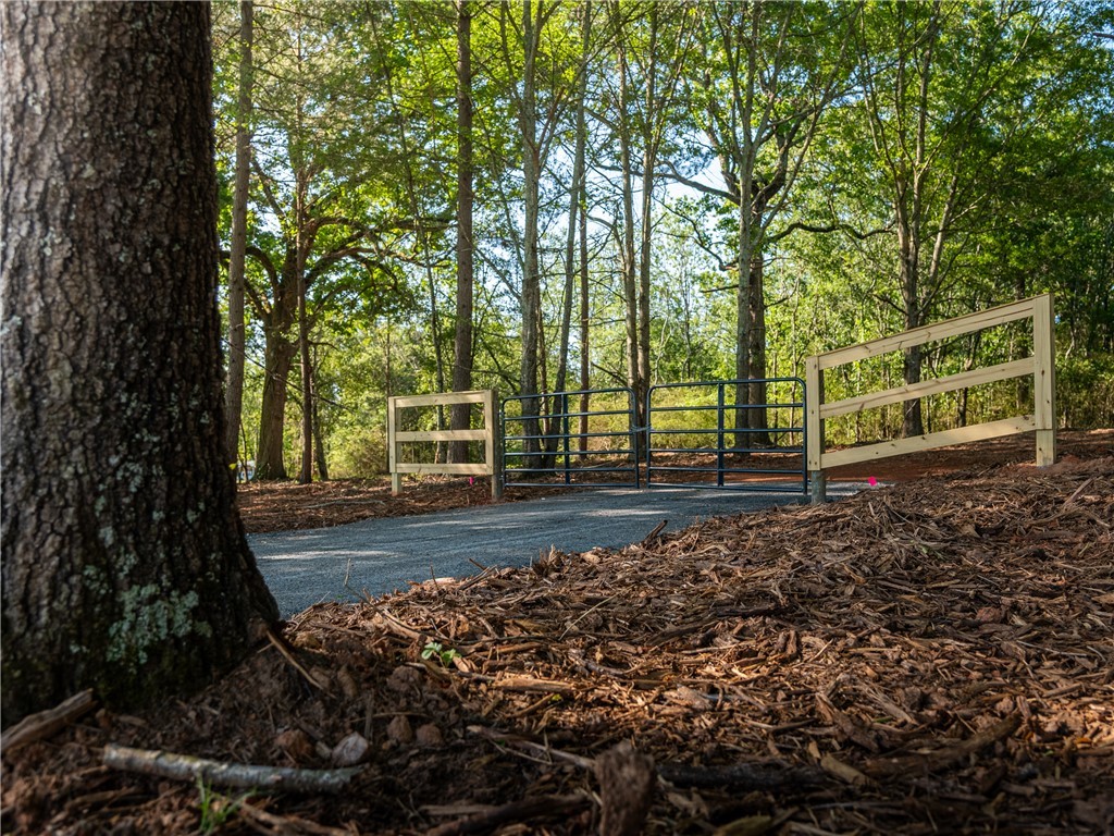08 Moorefield Memorial Highway, Liberty, South Carolina image 15