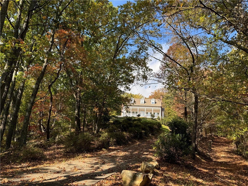 1524 Highway 11, Landrum, South Carolina image 44