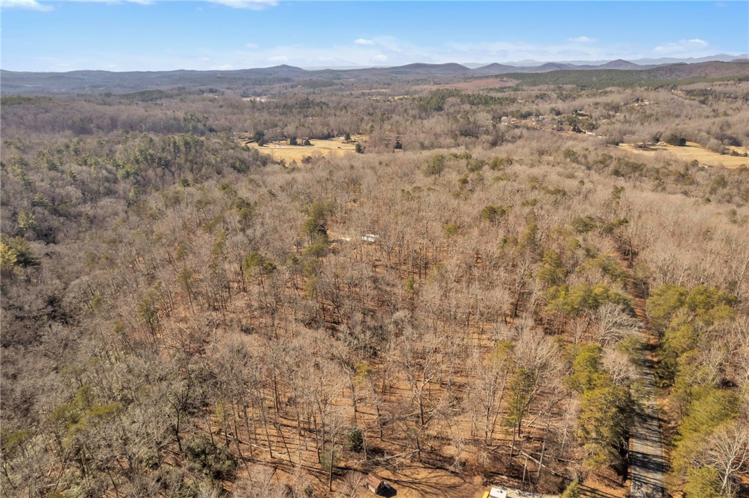 00 Old Fox Squirrel Ridge Road, Pickens, South Carolina image 8