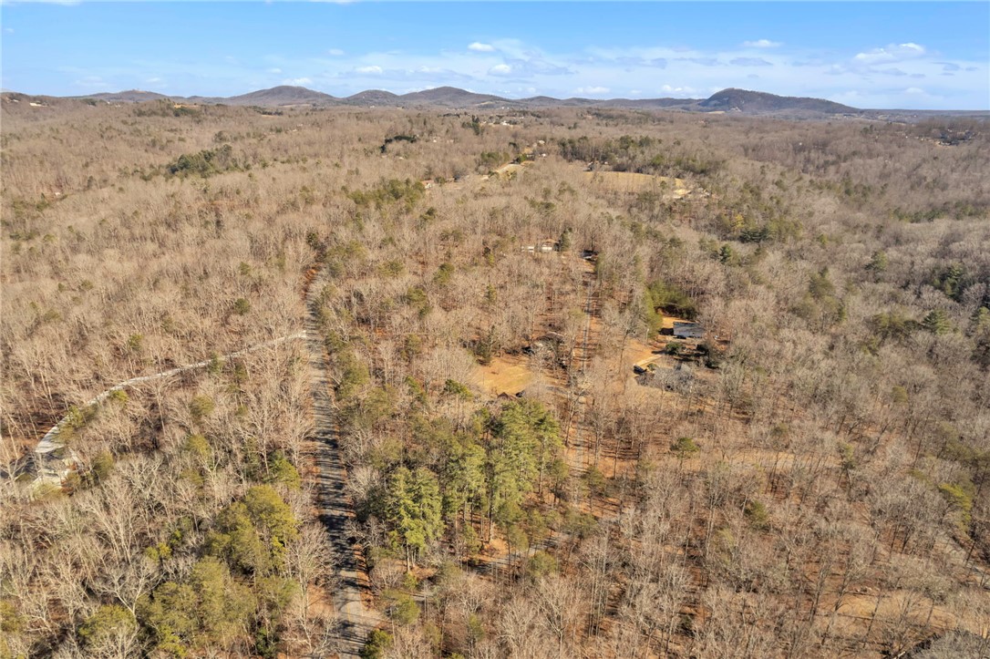 00 Old Fox Squirrel Ridge Road, Pickens, South Carolina image 18