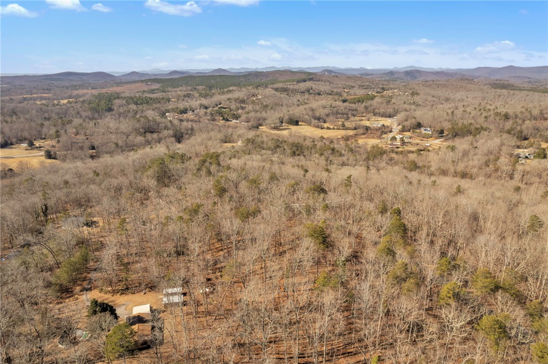 00 Old Fox Squirrel Ridge Road, Pickens, South Carolina image 17