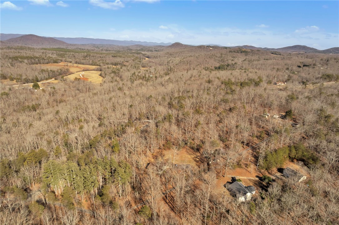 00 Old Fox Squirrel Ridge Road, Pickens, South Carolina image 16