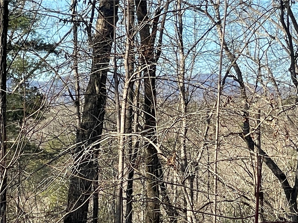 00 Old Fox Squirrel Ridge Road, Pickens, South Carolina image 2