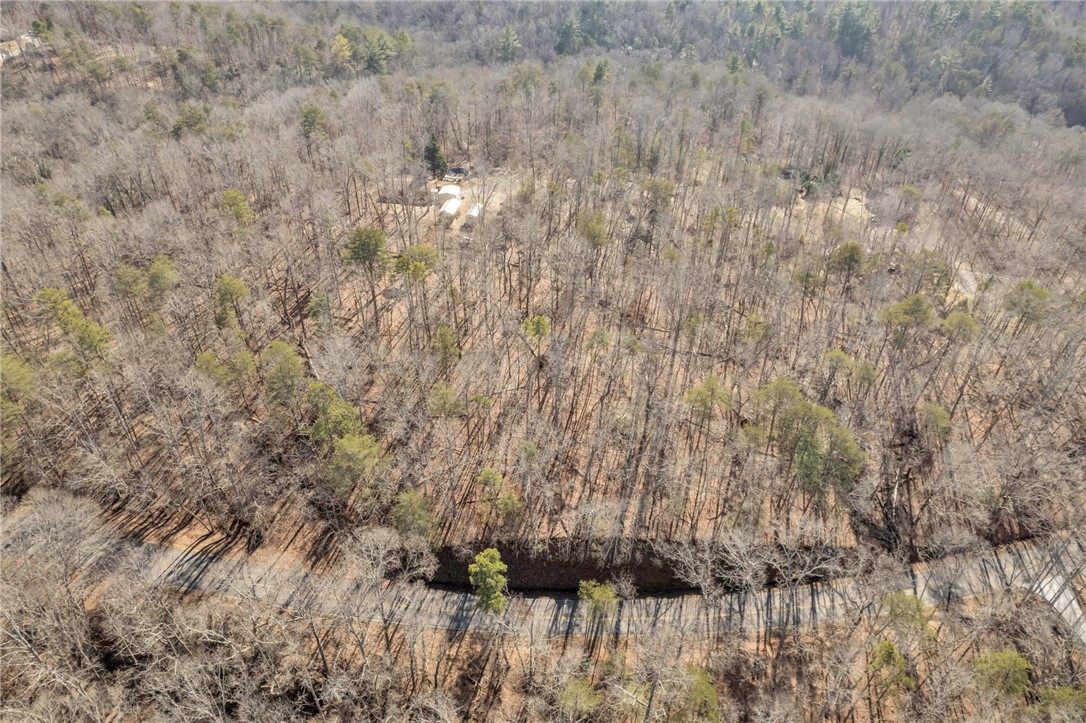 00 Old Fox Squirrel Ridge Road, Pickens, South Carolina image 15