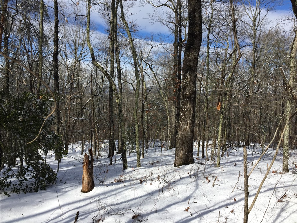 00 Old Fox Squirrel Ridge Road, Pickens, South Carolina image 6