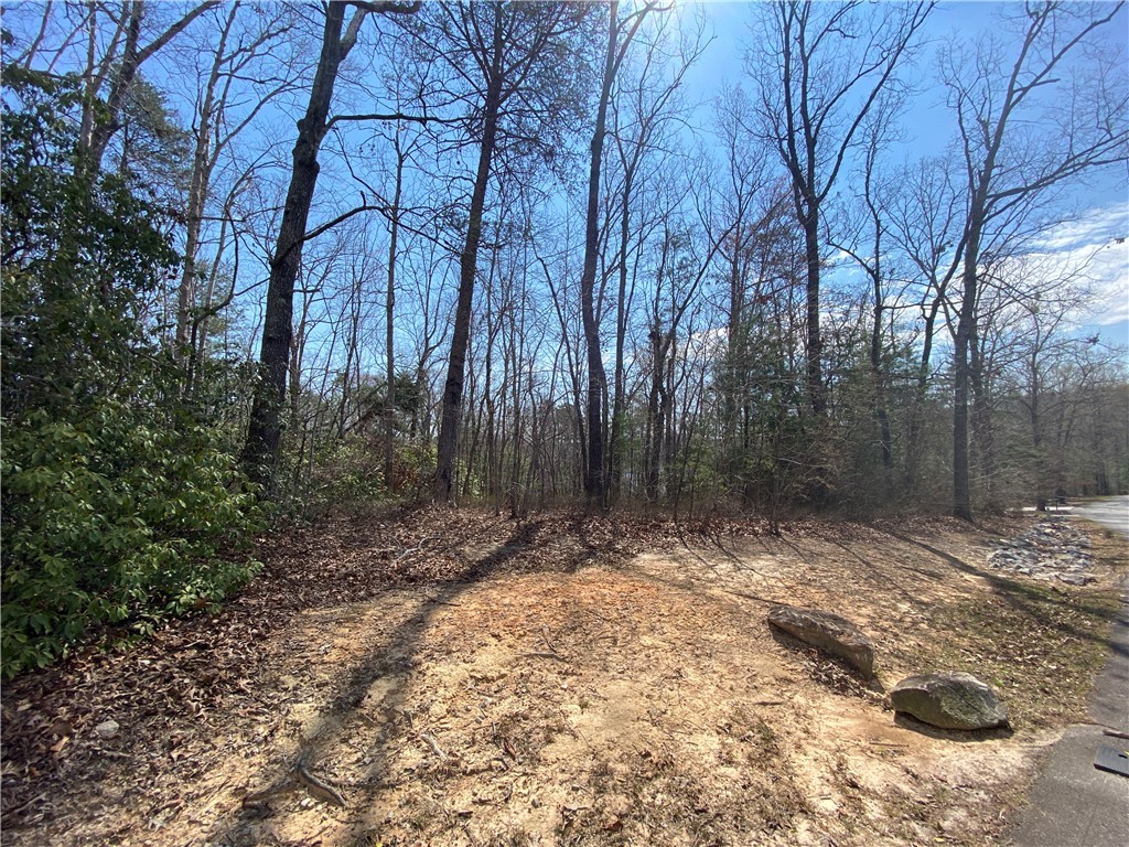 Lot 107 Fernwood Drive, Salem, South Carolina image 1