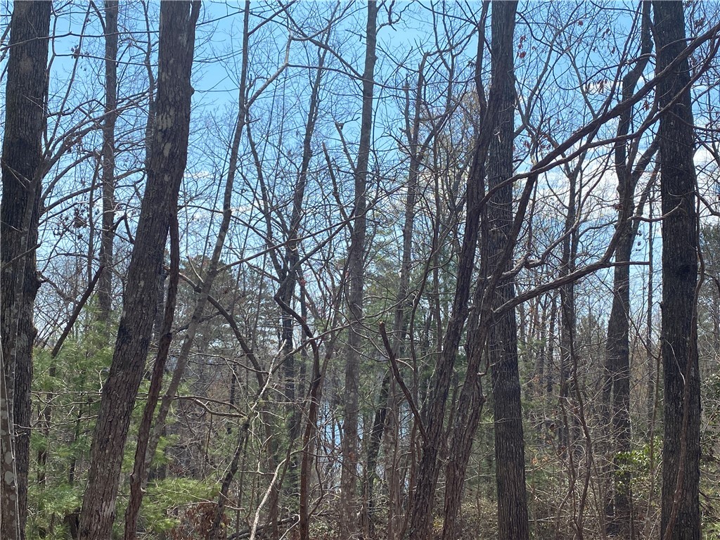 Lot 107 Fernwood Drive, Salem, South Carolina image 6