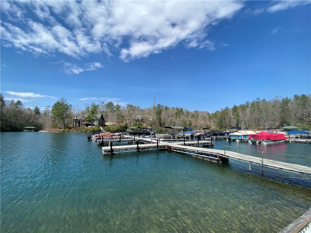 Lot 107 Fernwood Drive, Salem, South Carolina image 11