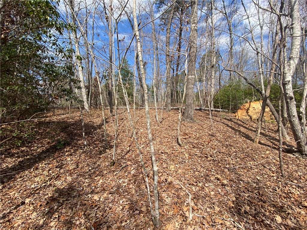 Lot 107 Fernwood Drive, Salem, South Carolina image 9