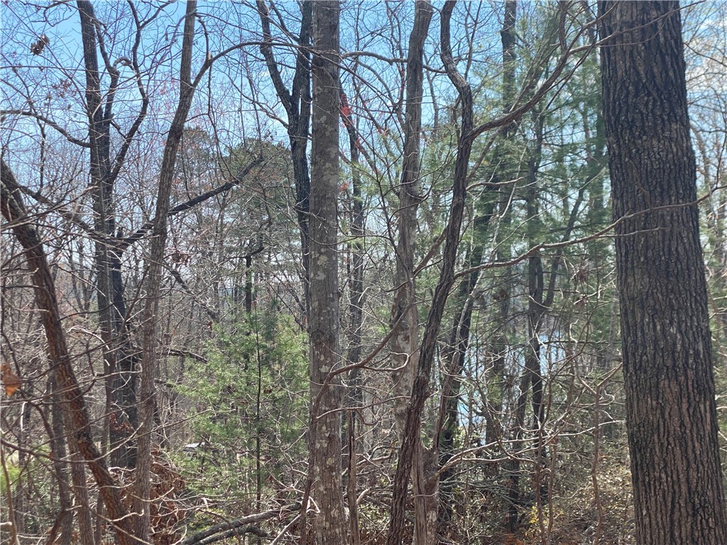 Lot 107 Fernwood Drive, Salem, South Carolina image 7