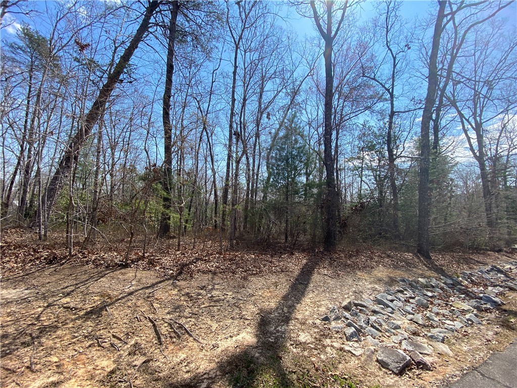 Lot 107 Fernwood Drive, Salem, South Carolina image 2