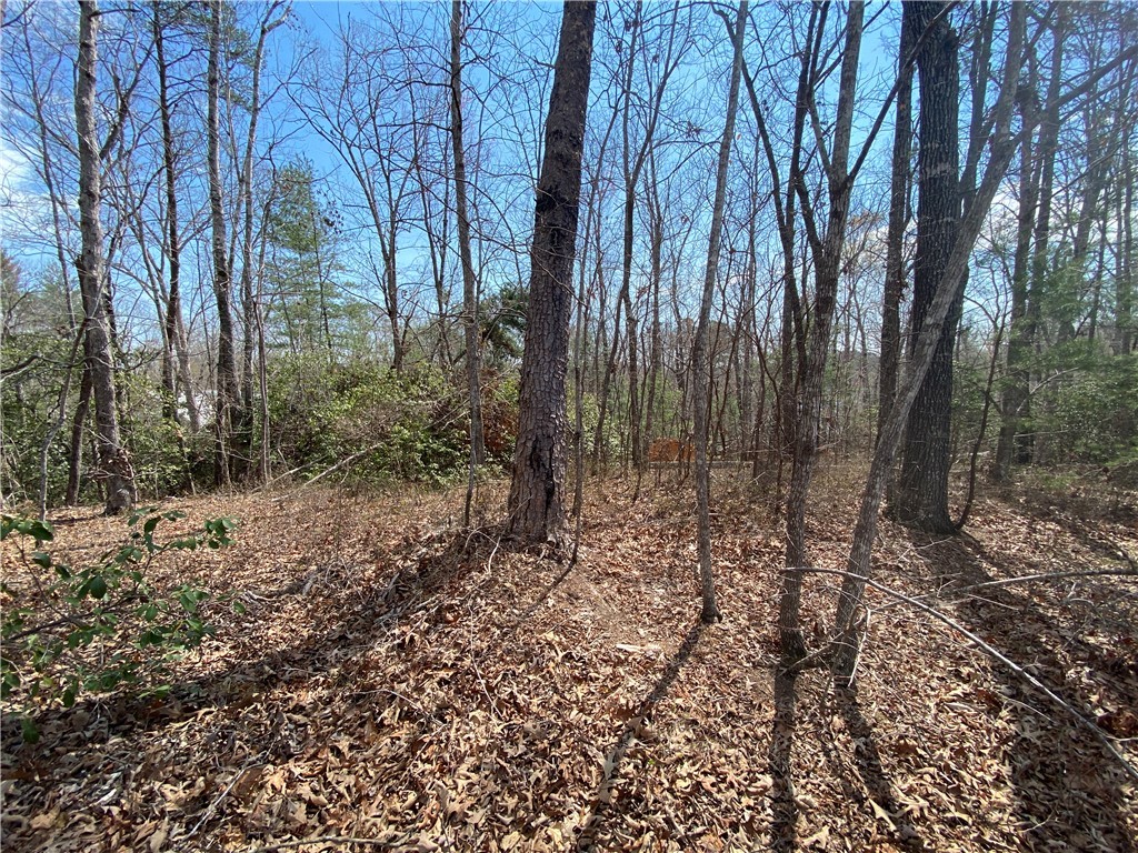 Lot 107 Fernwood Drive, Salem, South Carolina image 3