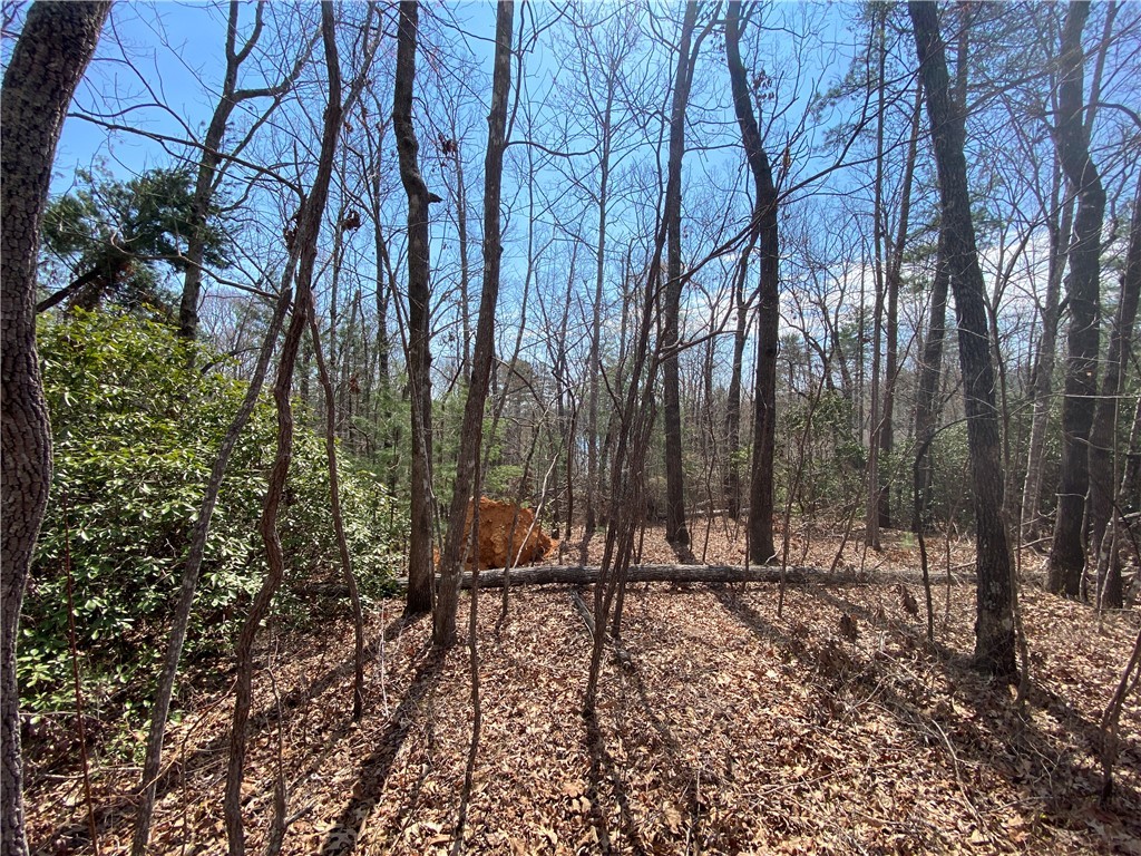 Lot 107 Fernwood Drive, Salem, South Carolina image 5