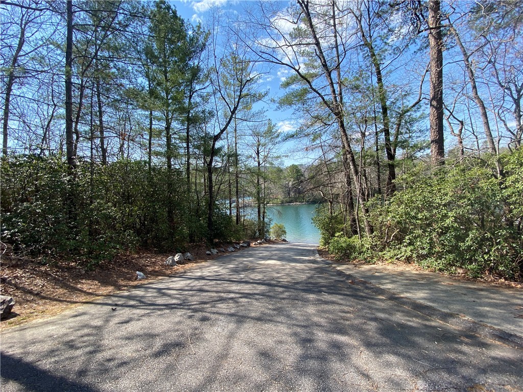 Lot 107 Fernwood Drive, Salem, South Carolina image 15