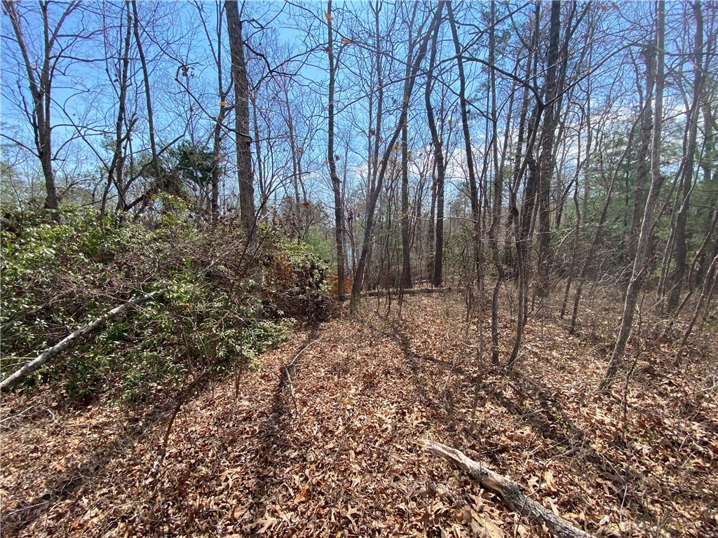 Lot 107 Fernwood Drive, Salem, South Carolina image 4