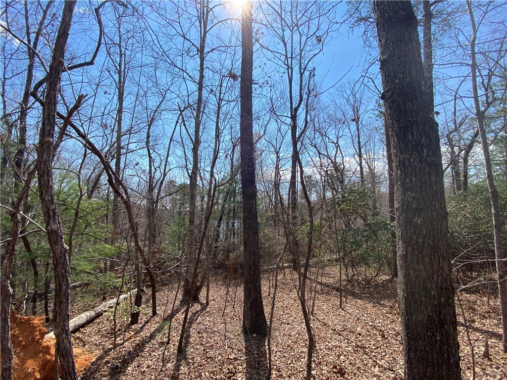 Lot 107 Fernwood Drive, Salem, South Carolina image 8